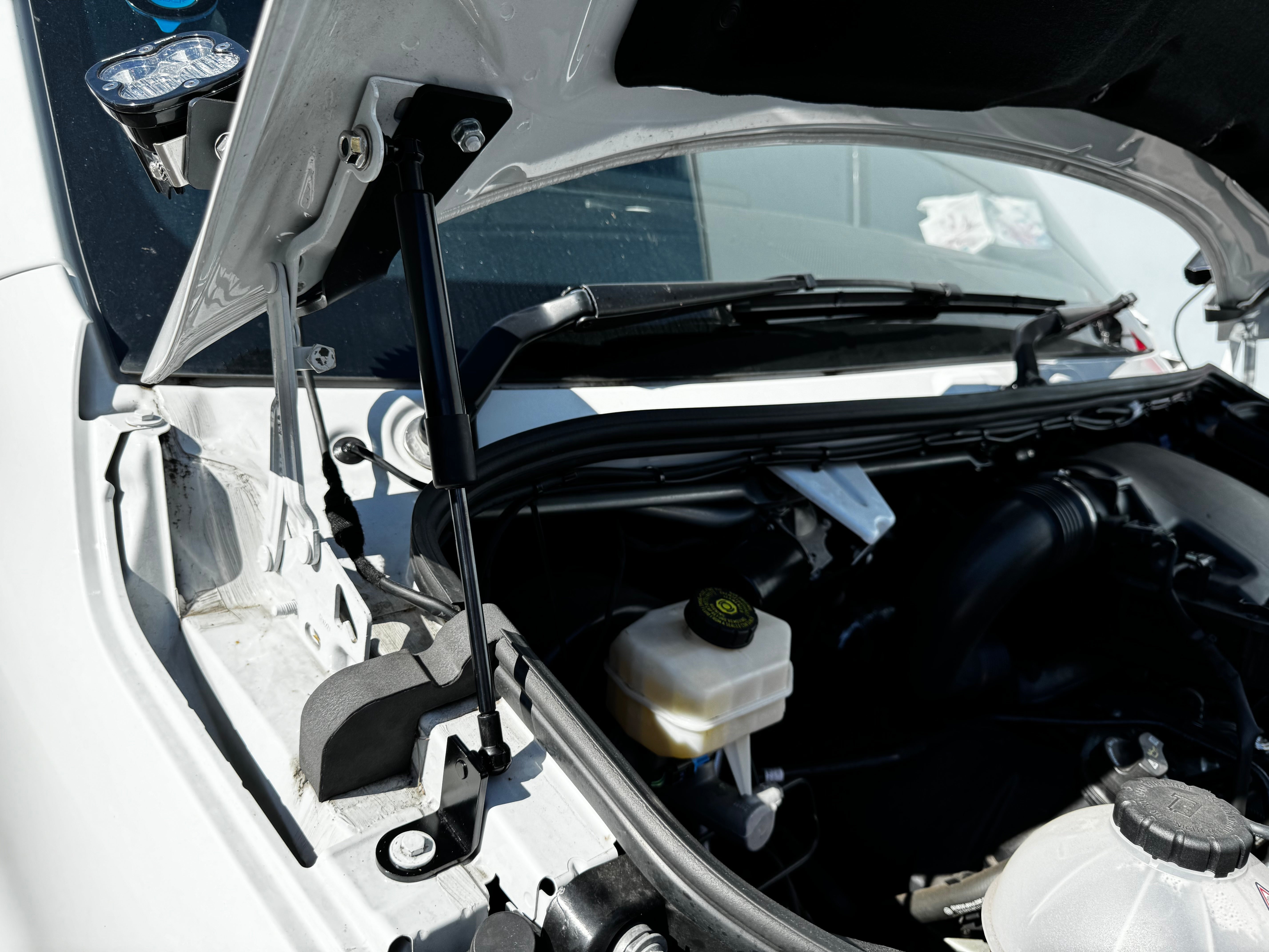 Sprinter Bonnet Gas Struts